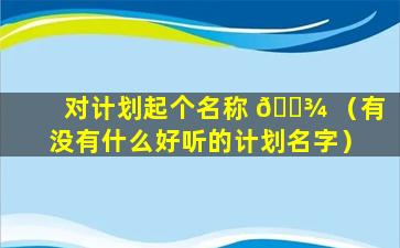 对计划起个名称 🌾 （有没有什么好听的计划名字）